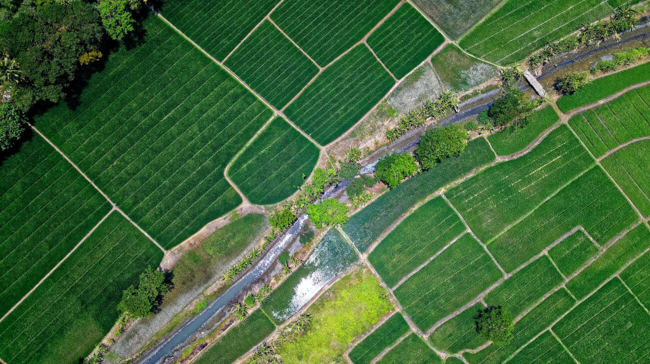 Agriculture - Droit rural